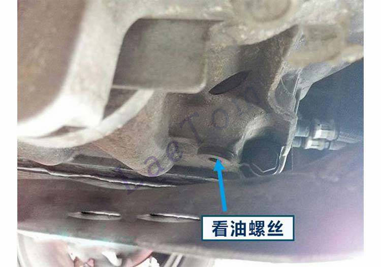 VT1 / 邦奇保养维修原理图片