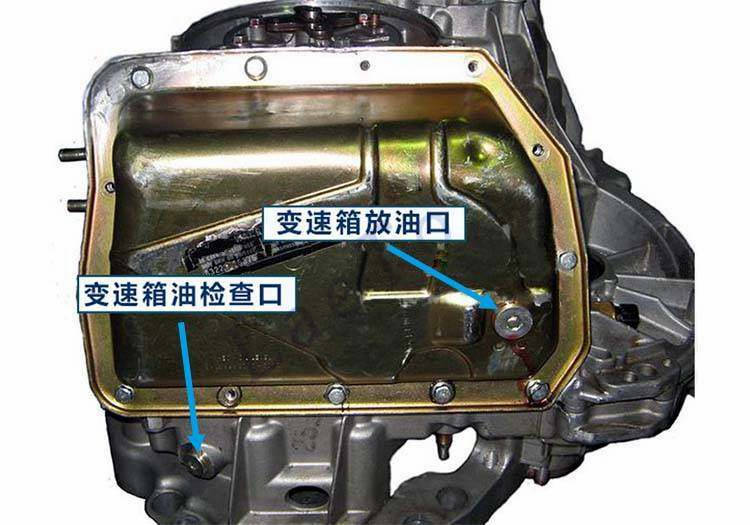 VT1 / 邦奇保养维修原理图片