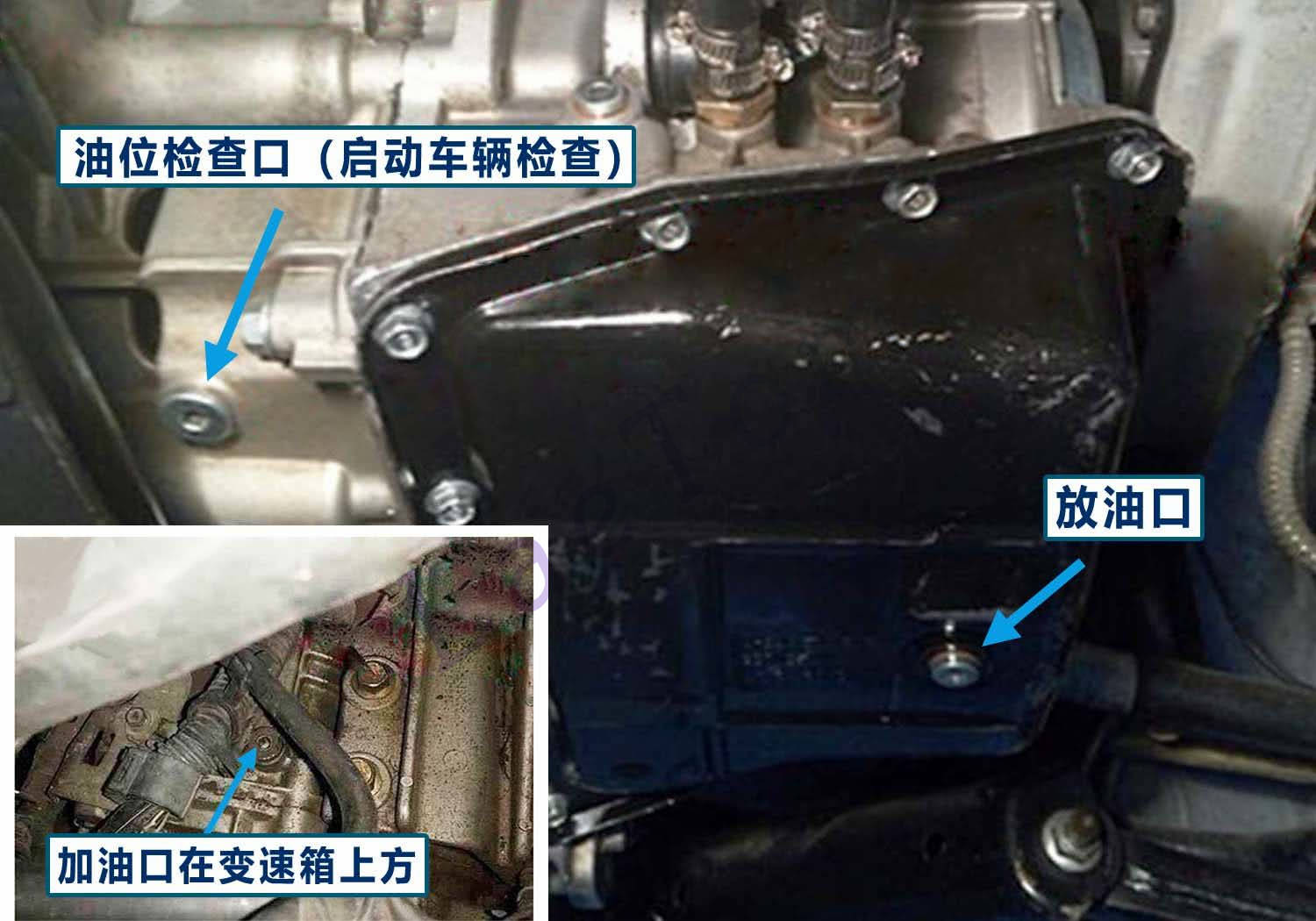 VT2 / 邦奇保养维修原理图片