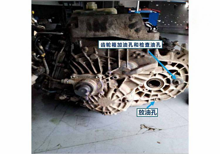 C725 / 菲亚特保养维修原理图片